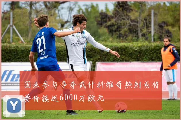 国米参与争夺武什科维奇热刺或将要价接近6000万欧元